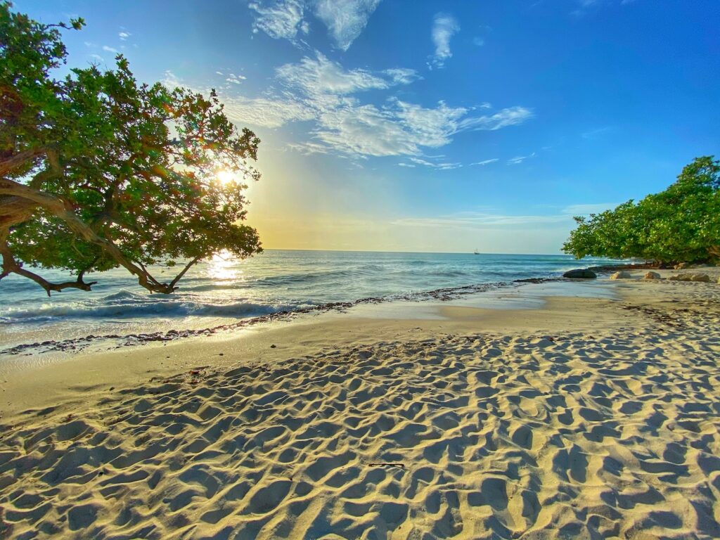 Do F1 Visa Holders Need a Visa for Aruba