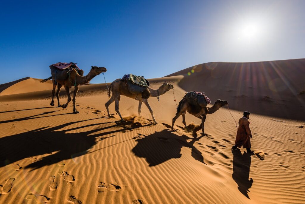 Morocco eVisa fee
