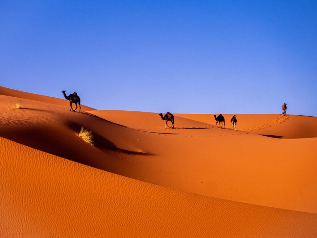 Morocco Visa Fees