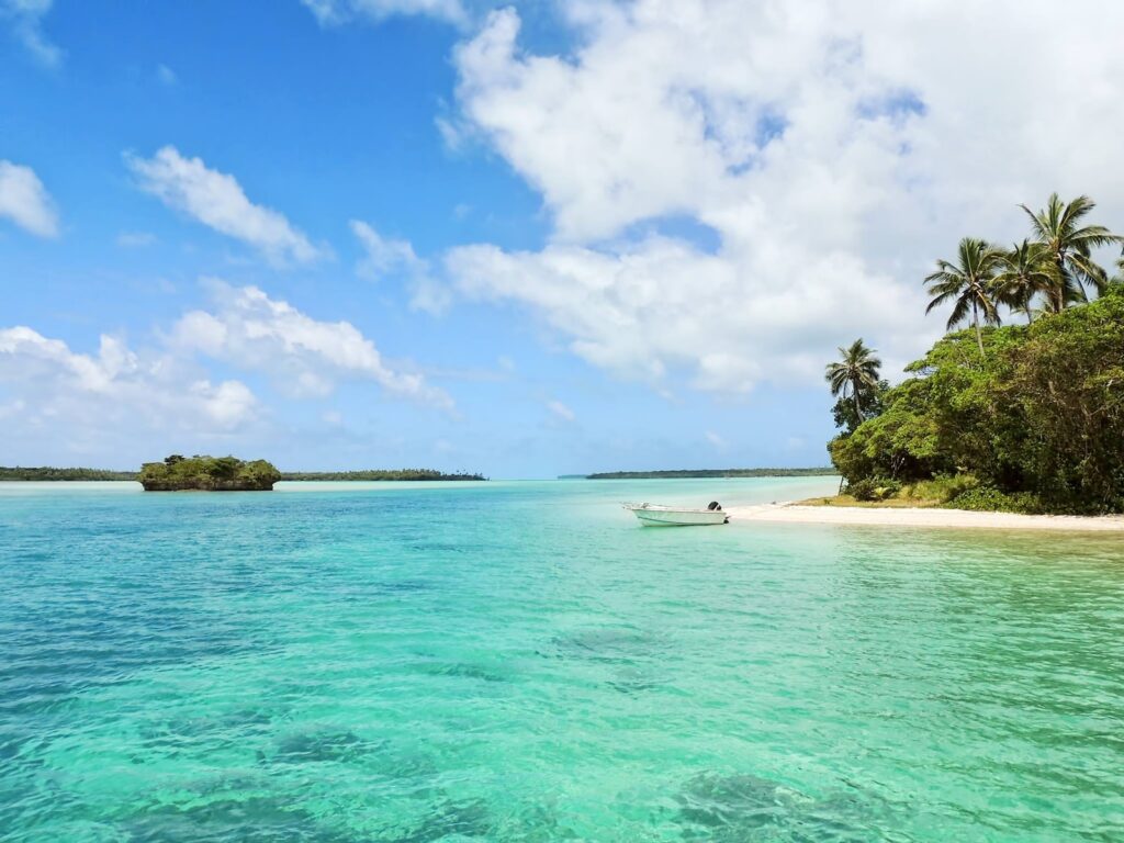 Can I Use My Birth Certificate To Travel To Jamaica