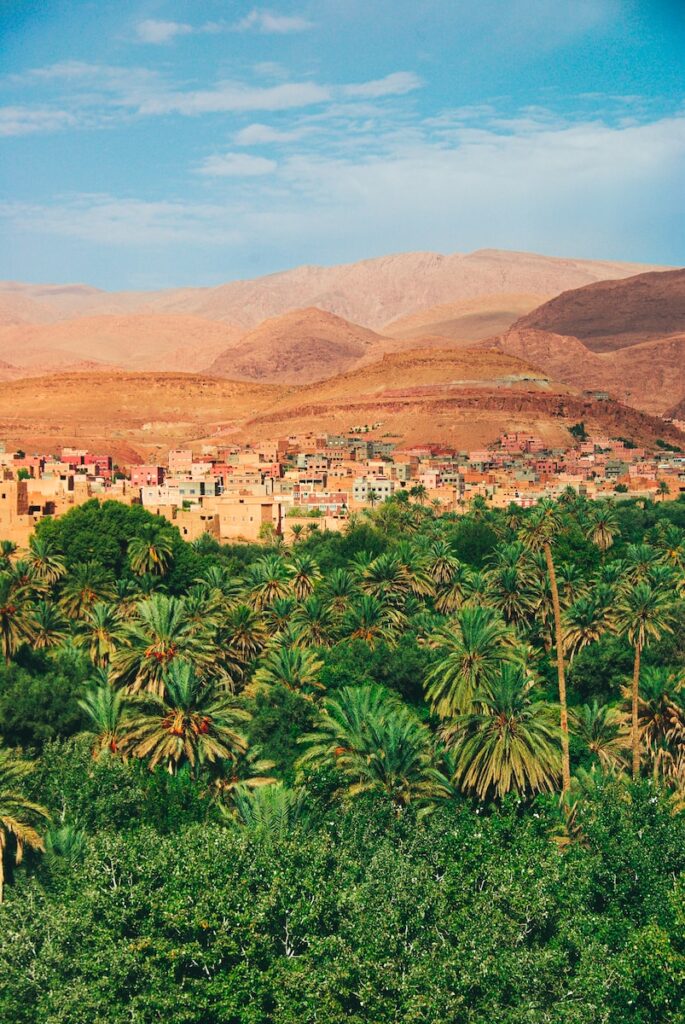 Morocco Entry Form