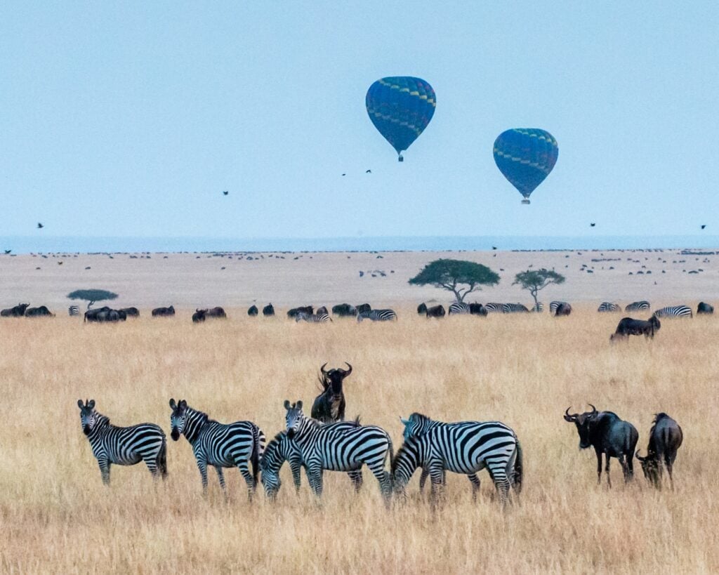 Kenya Visa Requirements For UK Citizens Travel To Kenya Stress Free 