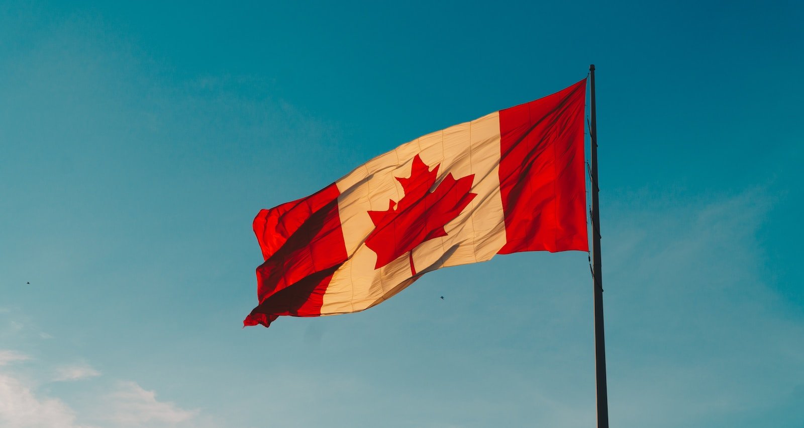 canada-visa-requirements-for-zimbabweans-visas-for-future