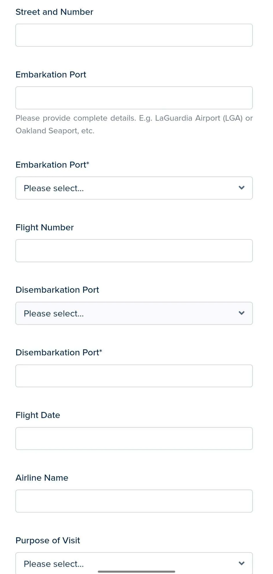 How to fill out the Dominican Republic e-Ticket? - Visas For Future