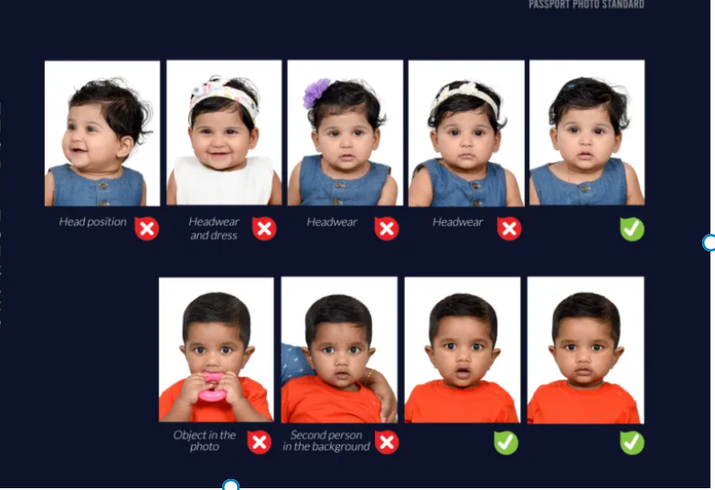 Kuwait Passport Photo Guide 2024 Visas For Future   Screenshot 2024 02 21 113729 